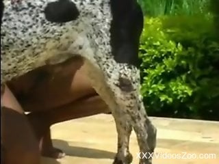 Sexy wife tapes during outdoor sex with the dog