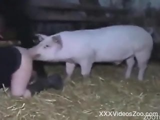 Twisted pig shoves its dick in this zoophile pussy
