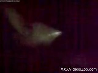 Nighttime bestiality fuck scene to get you off