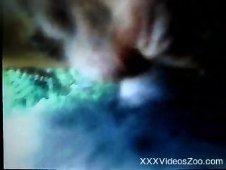 Dude dominates an animal's hot hole from behind