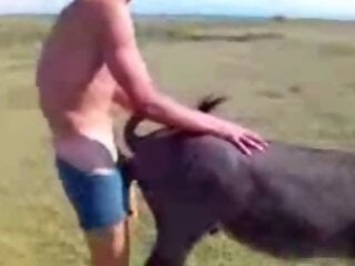 Animal Sex Site