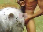 Free zoo porn tube